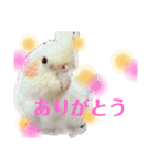 我が家の小さな家族1（個別スタンプ：12）