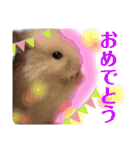 我が家の小さな家族1（個別スタンプ：14）