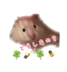 我が家の小さな家族1（個別スタンプ：16）