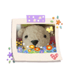 teddy bear2020（個別スタンプ：1）