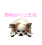 みみともも（個別スタンプ：1）