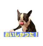 みみともも（個別スタンプ：5）