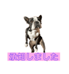 みみともも（個別スタンプ：8）