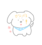 かわいいマルチーズのみるく（個別スタンプ：5）