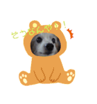 パピヨンのパピーちゃん（個別スタンプ：3）
