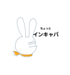 しんぐるうさぎ CA編（個別スタンプ：23）