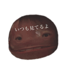 毎日がエブリデイ！！（個別スタンプ：8）