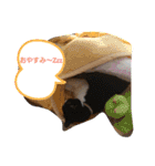 皆、お友達。（個別スタンプ：5）