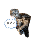 皆、お友達。（個別スタンプ：8）