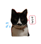 皆、お友達。（個別スタンプ：10）