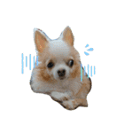 皆、お友達。（個別スタンプ：11）