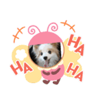 皆、お友達。（個別スタンプ：13）