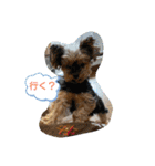 皆、お友達。（個別スタンプ：15）