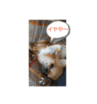皆、お友達。（個別スタンプ：16）