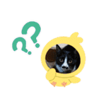 皆、お友達。（個別スタンプ：19）