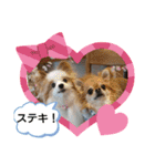皆、お友達。（個別スタンプ：28）