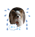 皆、お友達。（個別スタンプ：31）