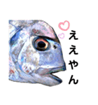 種子島の魚群その1（個別スタンプ：2）