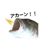 種子島の魚群その1（個別スタンプ：4）