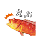 種子島の魚群その1（個別スタンプ：9）