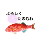 種子島の魚群その1（個別スタンプ：10）