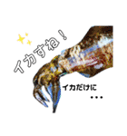 種子島の魚群その1（個別スタンプ：14）