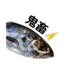 種子島の魚群その1（個別スタンプ：15）