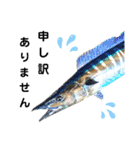 種子島の魚群その1（個別スタンプ：22）