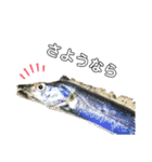 種子島の魚群その1（個別スタンプ：23）