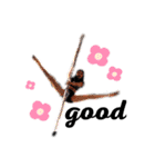studio pole dance（個別スタンプ：32）