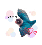 kawaii blue bird sticker（個別スタンプ：4）
