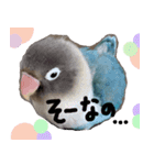 kawaii blue bird sticker（個別スタンプ：9）