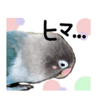 kawaii blue bird sticker（個別スタンプ：11）