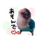 kawaii blue bird sticker（個別スタンプ：17）