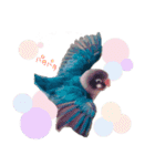 kawaii blue bird sticker（個別スタンプ：20）