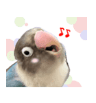 kawaii blue bird sticker（個別スタンプ：23）