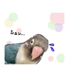 kawaii blue bird sticker（個別スタンプ：24）