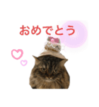 もこ くー カイ（個別スタンプ：21）