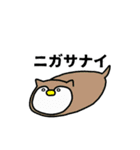 めがめこと愉快な仲間たちスタンプ2（個別スタンプ：38）
