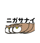 めがめこと愉快な仲間たちスタンプ2（個別スタンプ：39）