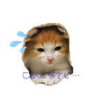 にゃんこ にゃん にゃんこ（個別スタンプ：5）
