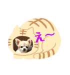 チワワのさくらさん2（個別スタンプ：13）