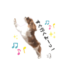ぽんずstamp（個別スタンプ：21）