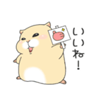 もっちとP丸（個別スタンプ：13）