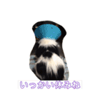 ルナです。よろしくね！（個別スタンプ：6）