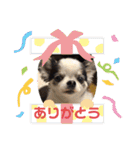 ルナです。よろしくね！（個別スタンプ：24）