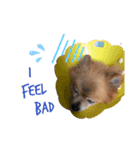 りんのつぶやき2（個別スタンプ：5）