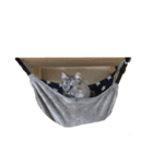 ビッちゃんの生活①（個別スタンプ：7）
