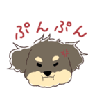 トイプードルのアポロ（個別スタンプ：3）