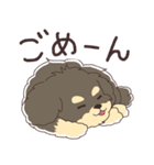 トイプードルのアポロ（個別スタンプ：7）